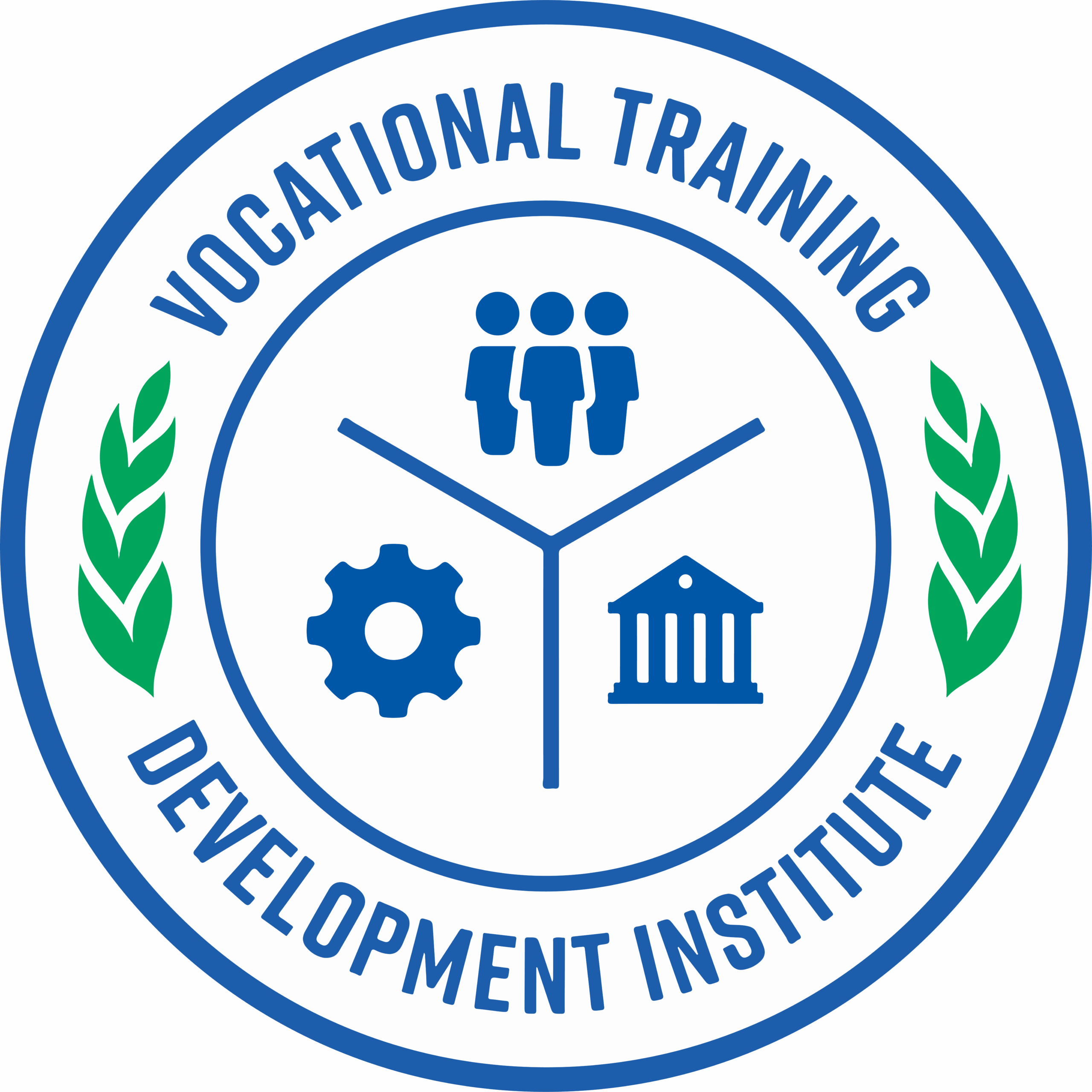 Vocational Training Development Institute
